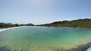 FINCA RUSTICA CON ALMENDROS ECOLOGICOS - BALSA DE RIEGO