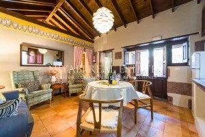 Casa rural con licencia en explotación activa – Santa Lucía de Tirajana, Gran Canaria