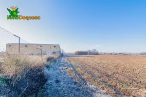 Finca rústica de regadío en la Vega de Granada. (Facil acceso a pie de ctra.)