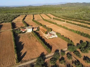 Finca rústica de 22ha con 3 viviendas, nave y zona agrícola en Camarles
