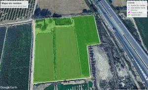 Finca Daya Nueva - Alicante