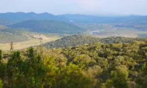 Finca de Caza Mayor