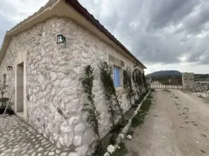 Finca única en Montuïri: 31,7 acres exclusivos y plantación de Olivos con rentabilidad