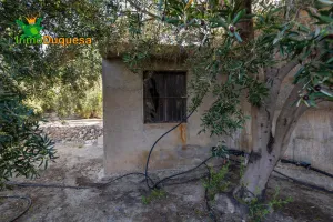 2 Fincas rústicas con mas de 15.000 m2 en total. En Pinos del Valle (VENTA JUNTAS o SEPARADAS)