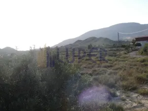 Finca en Agost Alicante