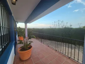 Finca Orihuela - Alicante