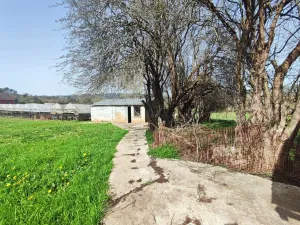 explotación agrícola en Llanera