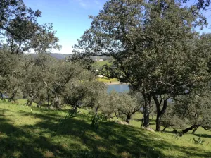 ESPECTACULAR FINCA RUSTICA Y GANADERA