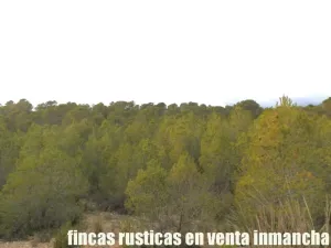 finca en venta 125 has. labor-almendros-monte