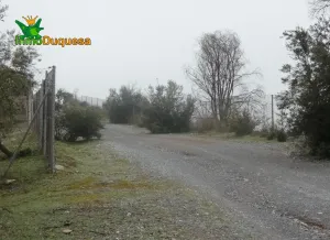 Finca rústica en Peligros con muy buen acceso.