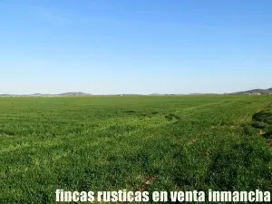 finca en venta 366 has. labor viña en Toledo