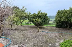 FINCA ECUESTRE CERCA DE VERJER DE LA FRONTERA