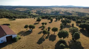 Finca Rústica en Pizarral, Salamanca