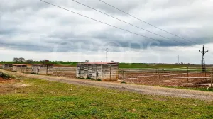 Hípica en venta a menos de 1 hora de Madrid