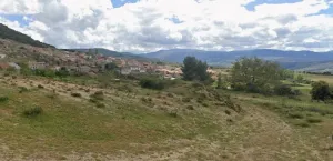 FINCA RUSTICA-ENCINAR