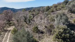 Pueblo abandonado con proyecto urbanístico ap