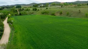 Finca ganadera en venta cerca de Madrid