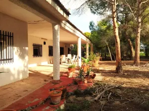 EXCEPCIONAL FINCA RUSTICA LA ALCAYNA/ROMERAL