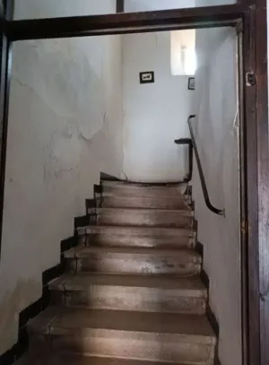 Finca en Poza de la Sal