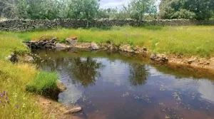 Preciosa finca, buen acceso