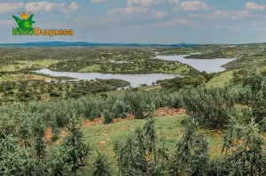 Finca de recreo en Huelva (junto a Portugal).
