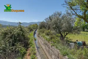 Terrero Rústico en Otura con vistas a Sierra Nevada.