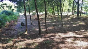 Finca próxima a Carballiño.