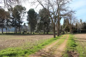 FINCA DE LUJO EN MADRID ref. 1544