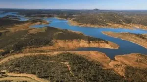 Dehesa Tamujoso | 650 ha de dehesa productiva con explotación ganadera y cinegética en Huelva
