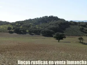 finca en venta 25 has. recreo ganadera