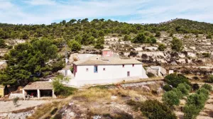 Finca en Monovar - Monover