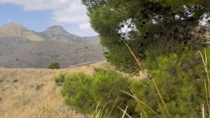 ^^FINCA RÚSTICA DE MÁS DE 2.500.000 M2 EN ALQUILER CON OPCIÓN A COMPRA, CON POSIBILIDAD DE RECONSTRUCCIÓN DE VIVIENDAS DE MÁS DE 600 M2, ENTRE LORCA Y ÁGUILAS, MURCIA. VISTAS AL MAR^^ Se ofrec
