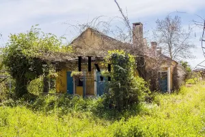 Finca en Azambuja