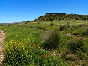 EXCLUSIVA EXPLOTACIÓN AGROGANADERA DE 172 ha
