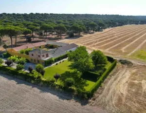 Magnifica finca, gran casa para negocio rural