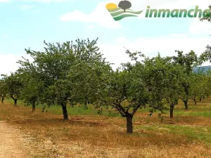finca en venta 166 has. labor viña riego