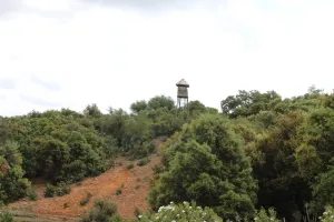 Finca recreo, caza e hípica Ref. 1547