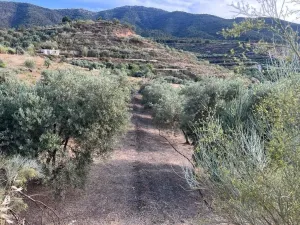Paraje de los castillos - Restabal