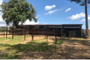 Casa con instalaciones para 5 caballos (REGA)