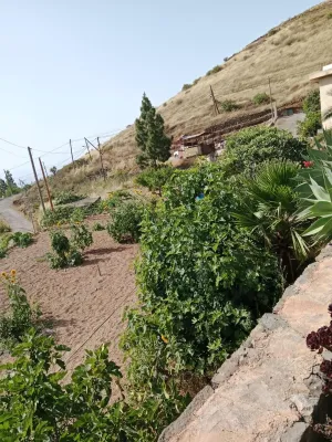 🌿 Exclusiva Finca en Venta en Cruz de Tea – Vive la auténtica esencia de Tenerife
