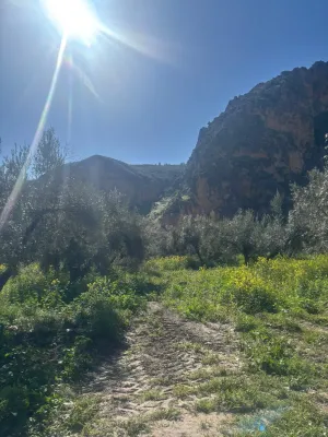 Finca rústica con nave y vivienda