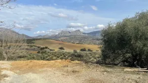 Riogordo - Colmenar 262,3 Ha Cortijo Napolín