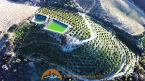 Finca agrícola productiva
