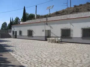FINCA DE OLIVOS CON RIEGO POR GOTEO