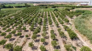 Finca de regadío en la provincia de Teruel