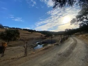 finca ganadera en el término de la nava,
