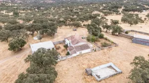 Dehesa ganadera en venta en Huelva