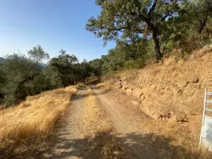 FINCA EN LA NAVA