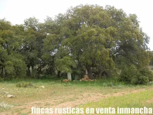 finca en venta 186 has. labor caza menor