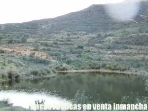 finca en venta 216 has. Recreo Ganadera